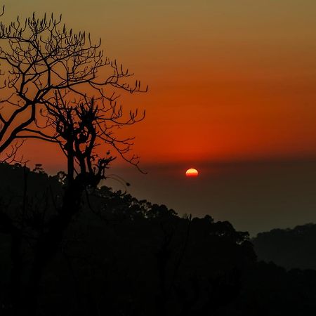 Stayvista At Sunset Springs With Pool & Views Nainital Eksteriør billede
